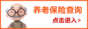 和田个人养老保险查询系统